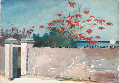 A Wall, Nassau by Winslow Homer